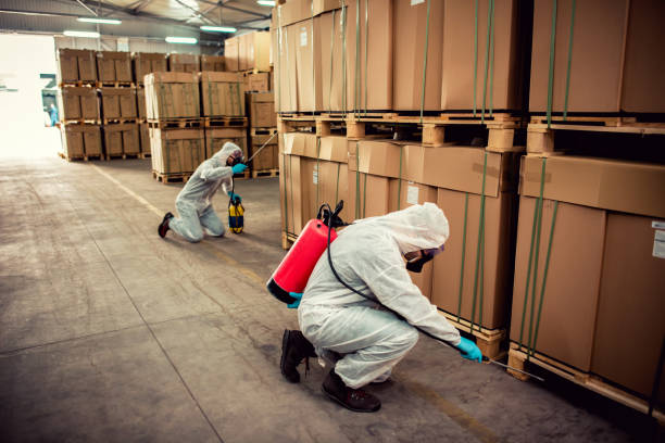 Best Cockroach Control Services  in Holly Hills, CO
