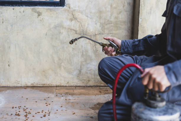 Best Pest Removal Services  in Holly Hills, CO